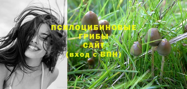 МДПВ Армянск