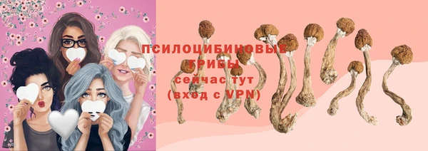ALPHA-PVP Баксан