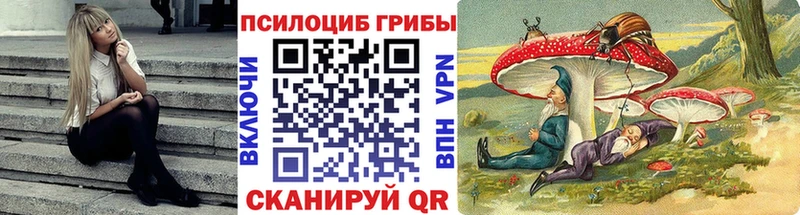 даркнет официальный сайт  hydra ТОР  Петухово  купить  сайты  Псилоцибиновые грибы ЛСД 