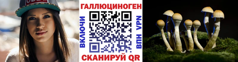 Галлюциногенные грибы Cubensis Петухово